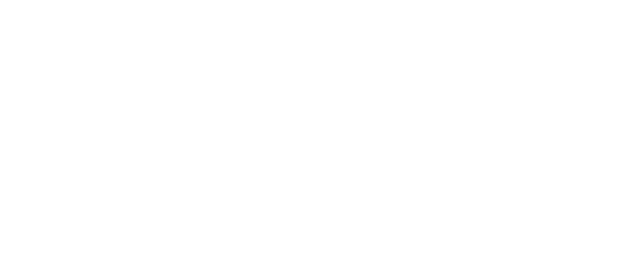 centrale lyon