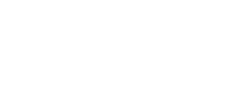 insane festival