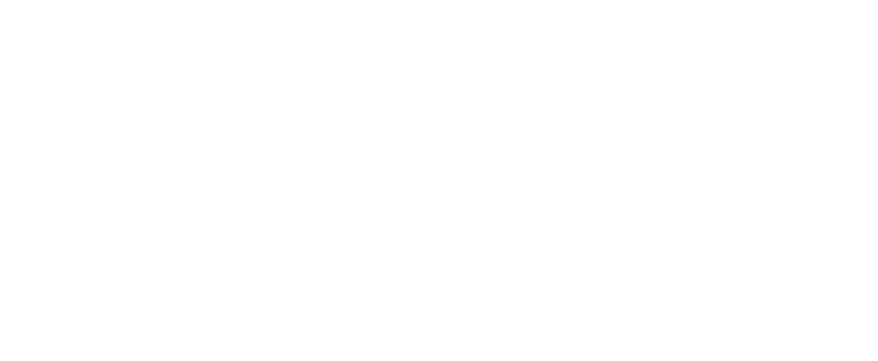 polytech marseille